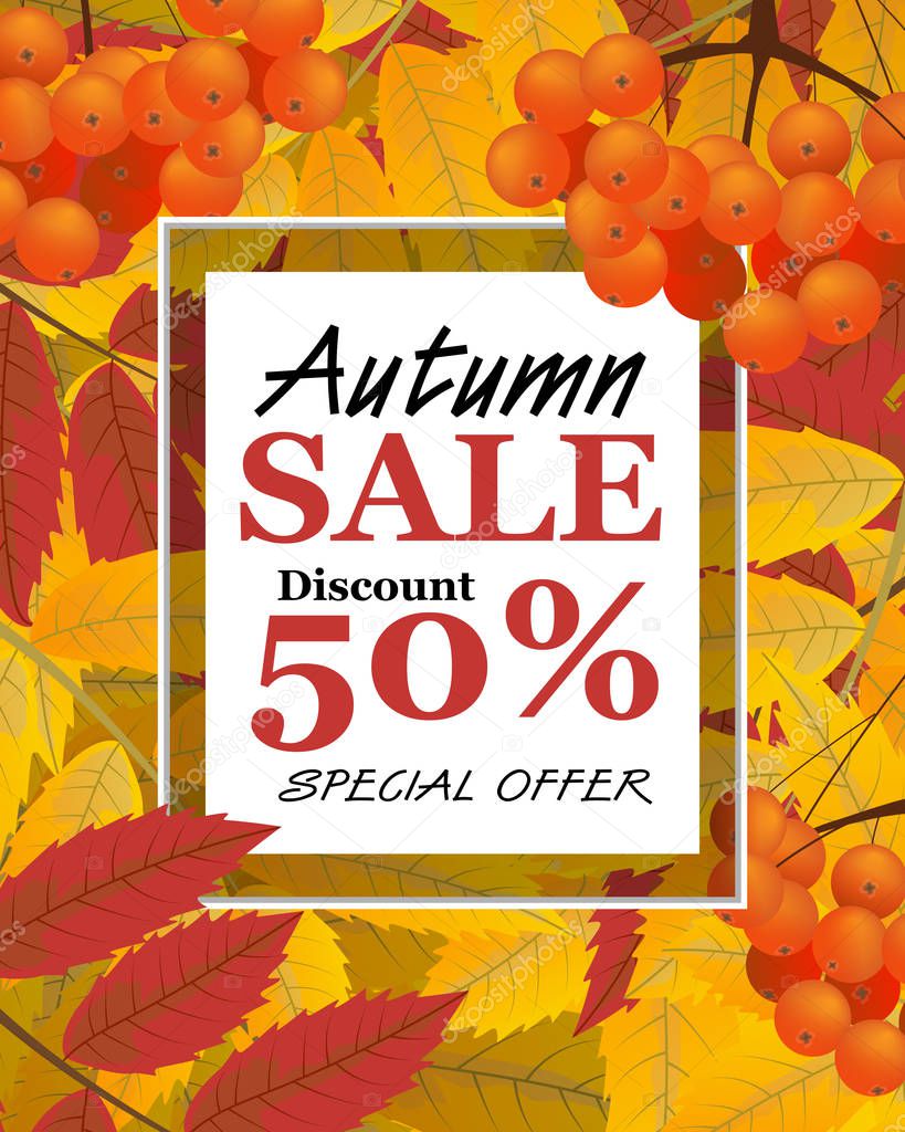 Vertical background with rowan, berries, leaves, and sign autumn sale, fall. Vector