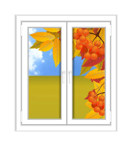 Okna z tworzywa sztucznego z pejzaż widok jesienny, oddziału jarzębiny. Upadek. Ilustracja na białym tle. — Wektor stockowy