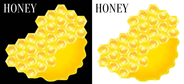 Favi in pozzanghera di miele d'api dolci. Vettore — Vettoriale Stock