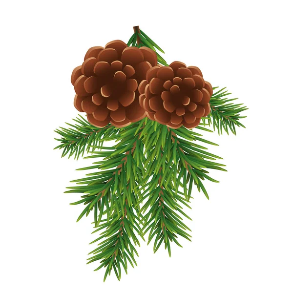 전나무 가지와 갈색 원추체는 흰 배경에 분리되어 있다. 크리스마스와 새해 장식. 벡터 — 스톡 벡터