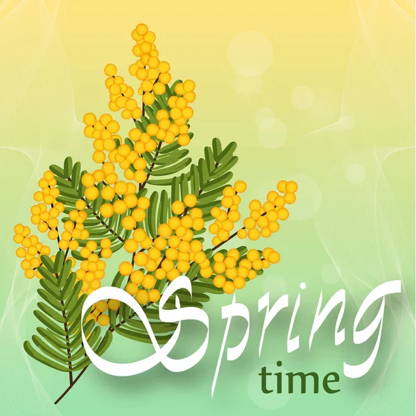 Mimosa pada latar belakang cahaya. Bunga kuning musim semi. Templat untuk liburan musim semi, spanduk jaringan sosial. Musim semi. Vektor - Stok Vektor