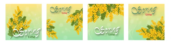 Işık arka planda Mimosa, sarı çiçekler. Bahar tatilleri için şablonlar, sosyal ağ pankartları. Bahar geldi. Vektör — Stok Vektör