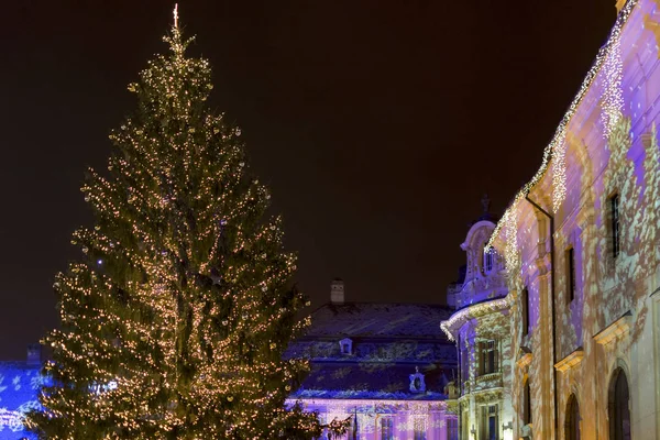 Pomul de Crăciun și decorațiuni în Sibiu, România — Fotografie, imagine de stoc