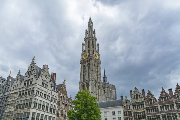 Katedralen, Anvers, Belgien — Stockfoto