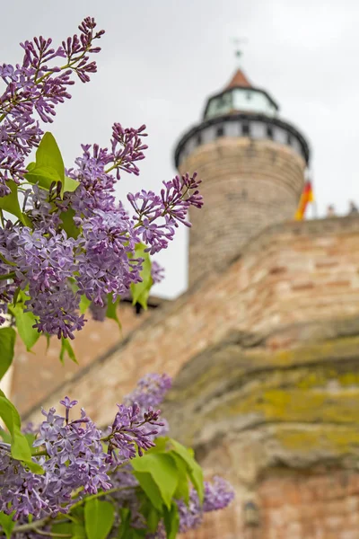 丁香花的纽伦堡城堡 — 图库照片