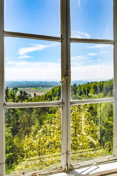 Forest landscape on old wooden window — Stock Photo, Image