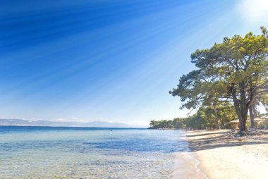 Thasos, Yunan Adası Beach'de