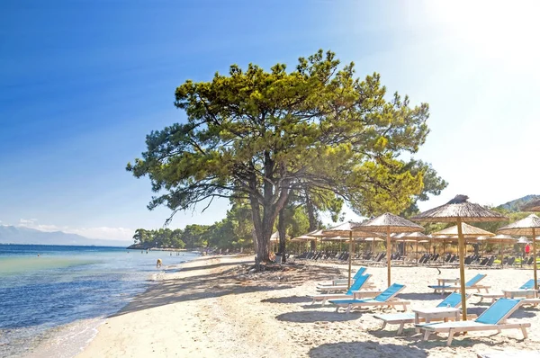 A Thasos, a görög szigeten Beach — Stock Fotó