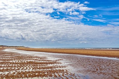 Kuzey Denizi'nde beach
