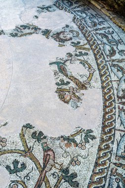 Treviso, antik Roma mozaiği 