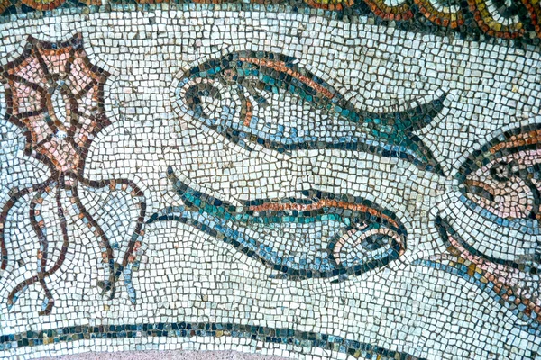 Treviso, antigo mosaico romano — Fotografia de Stock