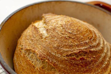 Whole wheat bread loaf baked in dutch oven iron cast pot fresh from the oven, pure levain recipe clipart