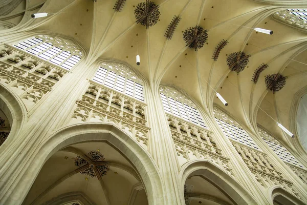 Peter Church Leuven Louvain Gothic Interior Vault — Stock Photo, Image