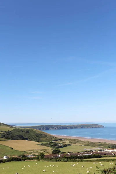 SHEEP FIELDS ABOVE WOOLACOMBE BEACH IN DEVON — Stock Photo, Image