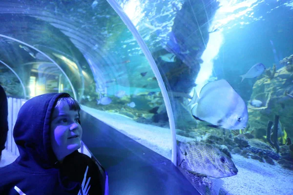 Petit garçon dans un aquarium regardant les poissons dans le tunnel — Photo