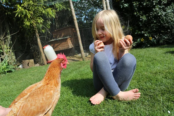 Barn leker med en kyckling i hennes hem bakgård eller trädgård — Stockfoto