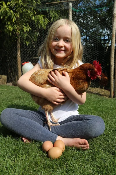 Küçük kız onu evcil tavuk tutarak — Stok fotoğraf