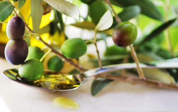 Oliveoil and olives on branch. — Stock Photo, Image