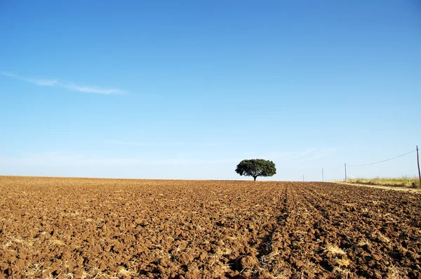 Geploegd veld in Alentejo regio, ten zuiden van Portugal — Stockfoto