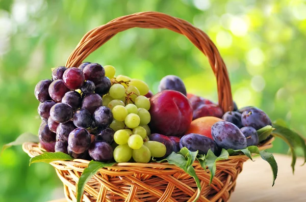 Wooden basket full of fruits — Stock Photo, Image