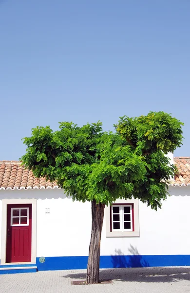 Blå og hvid Alentejo Portugisisk hus i Porto Covo, Portugal - Stock-foto