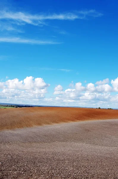 Paisaje de campo arado, al sur de Portugal — Foto de Stock