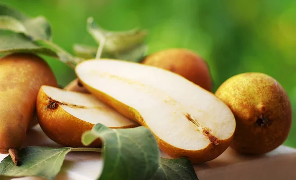 Abate Fetel peren en bladeren, groene achtergrond — Stockfoto