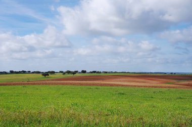 Tarım alanı ve cloudsky, alentejo, Portekiz