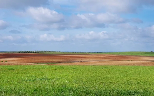 Zemědělský pozemek a cloudsky — Stock fotografie