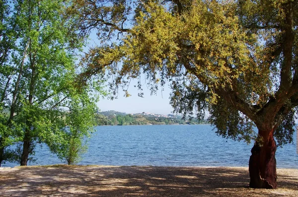 Montargil Barajı, Alentejo, Portekiz — Stok fotoğraf