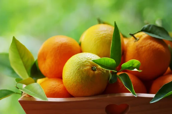 녹색에 나무 바구니에 오렌지와 바구니 흐리게 바 — 스톡 사진
