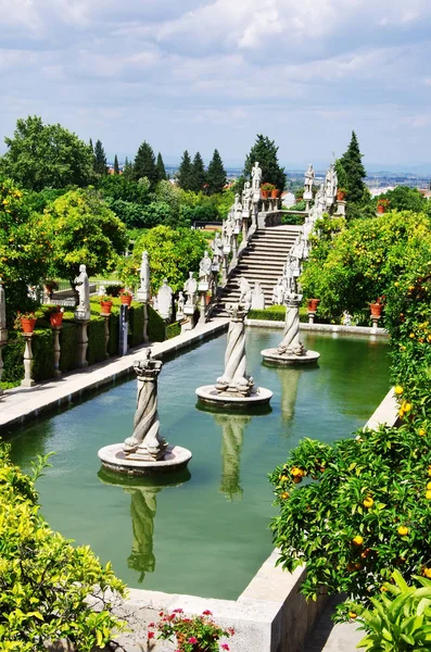 Jardim Castelo Branco, região da Beira Baixa, Portugal — Fotografia de Stock