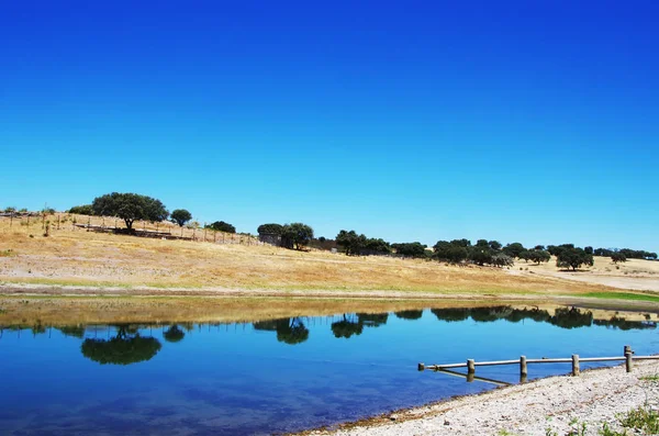 Paesaggio del lago di Alqueva, Alentejo, Portogallo — Foto Stock