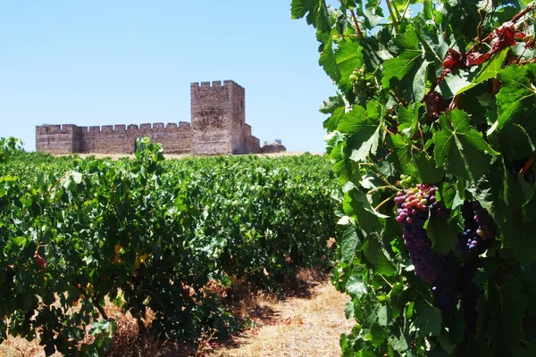 Videiras e um castelo antigo, Alentejo, Portugal . — Fotografia de Stock