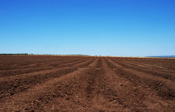 Padrão de sulcos em uma terra arada preparada para o plantio — Fotografia de Stock