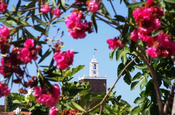 Torre del castillo de Alandroal y flores rosas — Foto de Stock