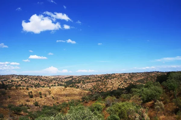 Typowy suchy krajobraz regionu Alentejo, na południe od Portugalii — Zdjęcie stockowe