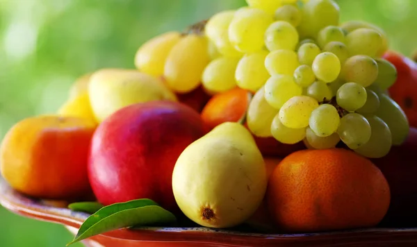 Fresh fruits on the green background — Stock Photo, Image