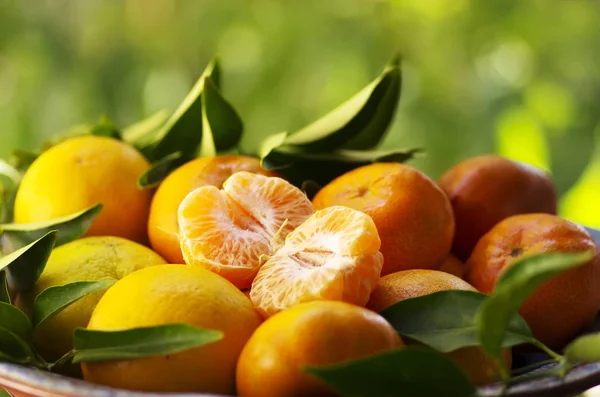 Fresh tangerines on a green background — Stock Photo, Image