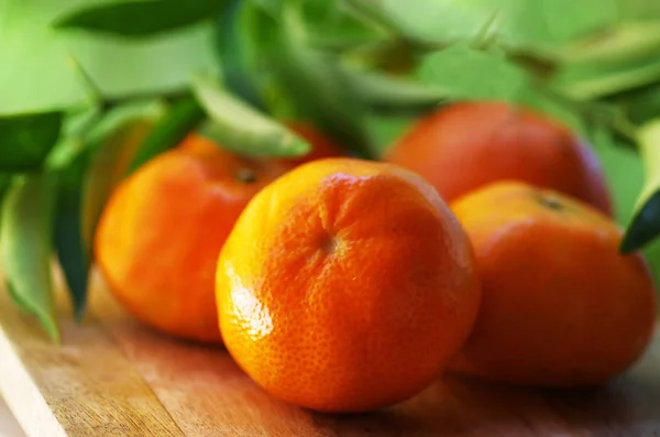 Clementines,orange or citrus with leaves  on green background — Stock Photo, Image