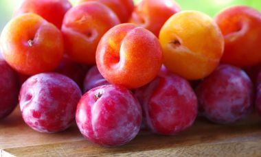 Olgun sloes ve Erik masada