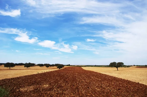 Campo arado na região do Alentejo, sul de Portugal — Fotografia de Stock