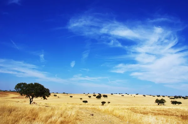 Paesaggio. Regione dell'Alentejo, a sud del Portogallo — Foto Stock
