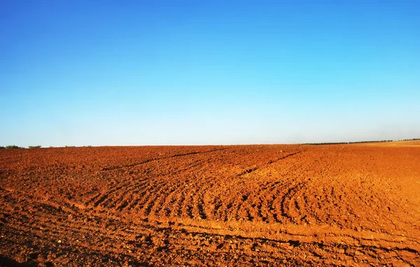 Zaorane pola w równinie Alentejo w Portugalii — Zdjęcie stockowe