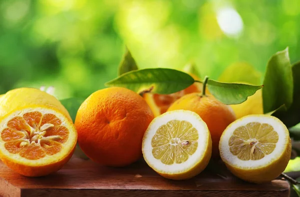 Frutas cítricas com folhas no fundo verde — Fotografia de Stock