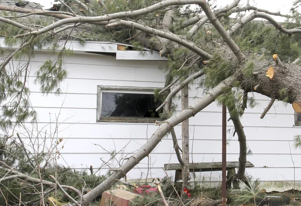Damages from a wind storm — Stock Photo, Image