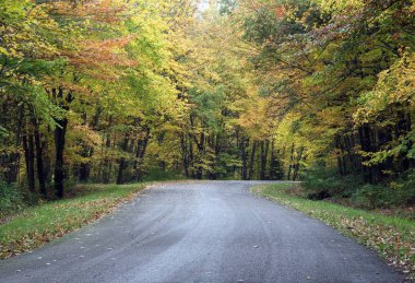 Köy yolunda sonbahar yaprakları ile