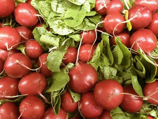 Frisches Rettich Gemüse Hintergrund — Stockfoto