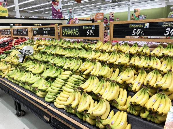 Several bunches of Bananas in the produce section of a Grocery S — Stock Photo, Image
