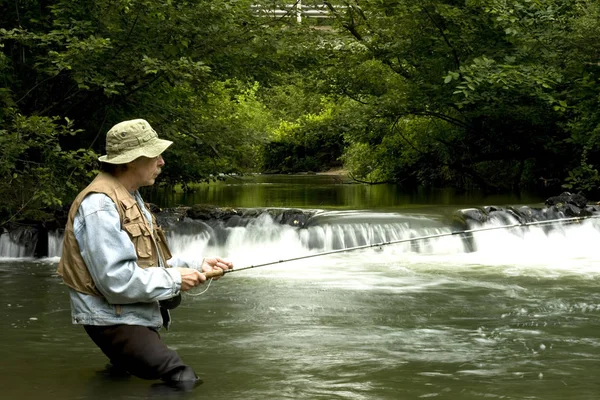 Trout Fisherman stående i en stream pool — Stockfoto